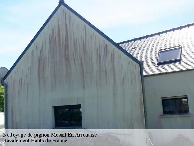 Nettoyage de pignon mesnil-en-arrouaise-80360 Ravalement Hauts de France