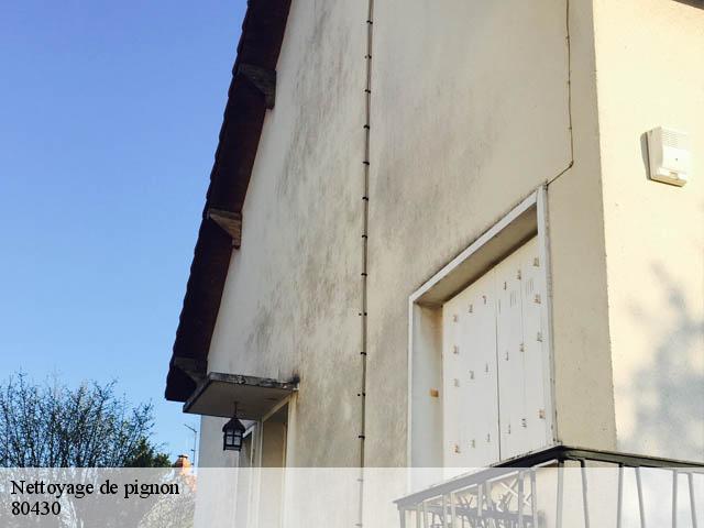 Nettoyage de pignon 80430