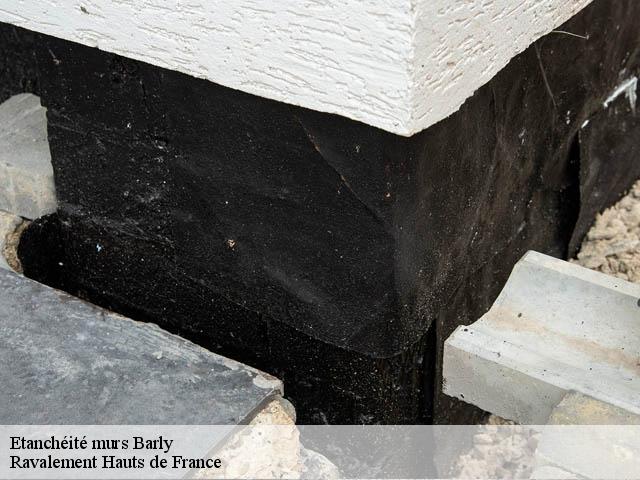 Etanchéité murs  barly-80600 Ravalement Hauts de France