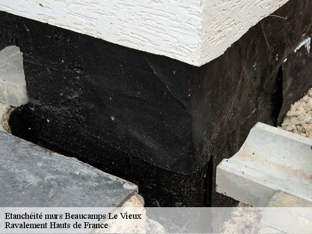 Etanchéité murs beaucamps-le-vieux-80430 Ravalement Hauts de France
